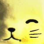 Profile picture of dandyjams