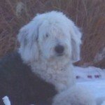 Profile picture of Smalls