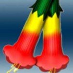 Profile picture of lamaestra