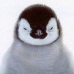 Profile picture of River Ranter