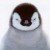 Profile picture of River Ranter