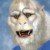 Profile picture of yetihk