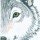 Profile picture of Chelly
