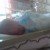 Profile picture of jenny Adams
