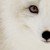 Profile picture of avonlea