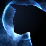 Profile picture of Annie