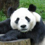 Profile picture of solantap