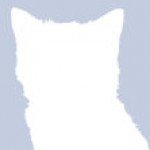 Profile picture of Fei