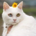 Profile picture of Marian writes