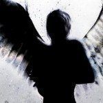 Profile picture of scarletdistraction