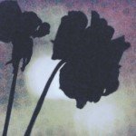 Profile picture of andthismoment