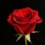 Profile picture of Rose West