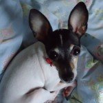 Profile picture of Yuka