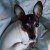 Profile picture of Yuka