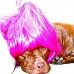 Profile picture of salix