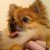 Profile picture of Mendoza