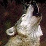Profile picture of Julia