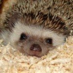 Profile picture of Jacki