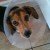 Profile picture of cosmic