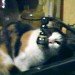 Profile picture of ardeeann