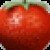 Profile picture of assaad
