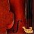 Profile picture of Sentito